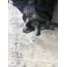 BAŞKAN TİC.MERCEDES A2043502214 DEFRANSİYEL 2043502214 -3.07 W204-207-212